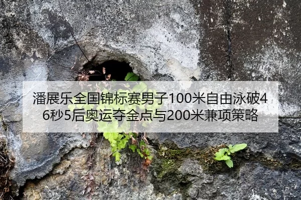 潘展乐全国锦标赛男子100米自由泳破46秒5后奥运夺金点与200米兼项策略